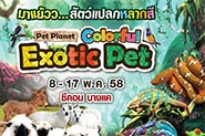 Pet Planet: Colourful Exotic Pet