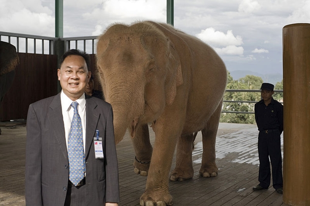 Former Foreign Minister Kasit Piromya stands in front of a white elephant during a visit to Burma.