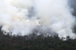 Indonesia fires highlight failure to tackle slash-and-burn