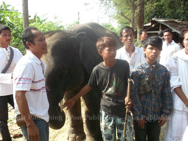 Baby elephant owner Sarayuth Khamkonyai, left, denies his young mahouts attacked the elephant.
