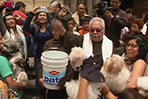 Furry and feathered animals flock to mass in Peru