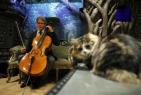 Cellist creates album for cats