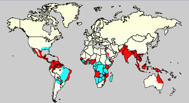 dengue fever map