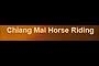 Chiang Mai Horse Riding