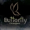 Butterfly Chiang Mai