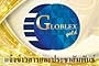 Globlex Securities Company Limited