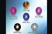 Star Shine Ltd.