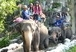 Samphran Elephant Ground & Zoo