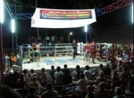 Kobra Ultimate Muay Thai Boxing & Training Stadium